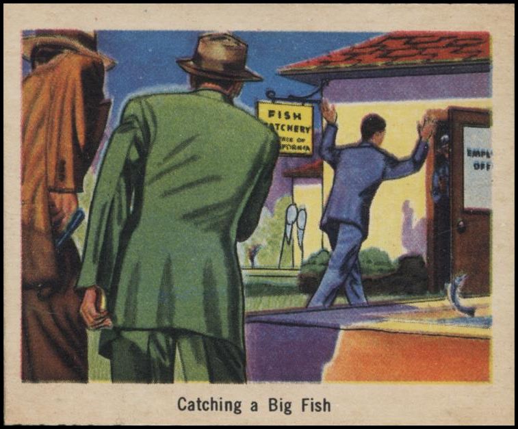 14 Catching a Big Fish